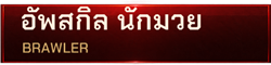 อัพสกิล นักมวย